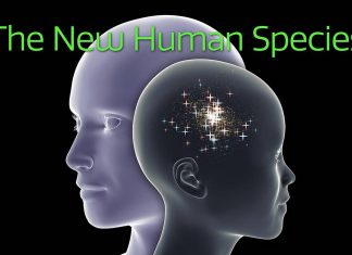 The New Human Species