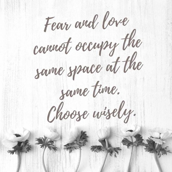 Fear and love Quotes