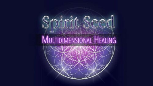 Spirit-Seed-MH-STORE